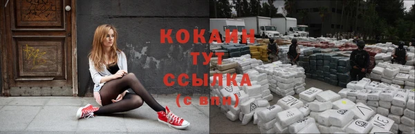 герыч Бородино
