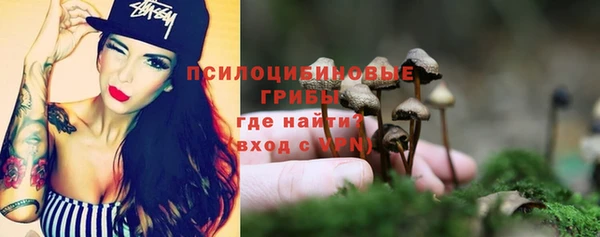 герыч Бородино