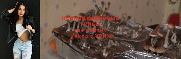 герыч Бородино
