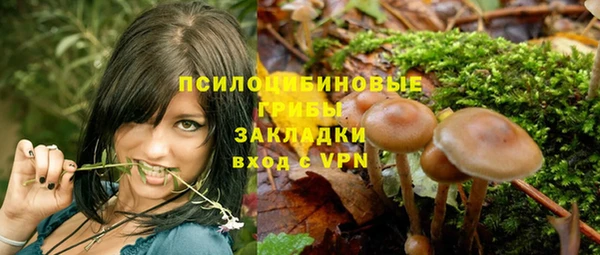 ALPHA PVP Бугульма