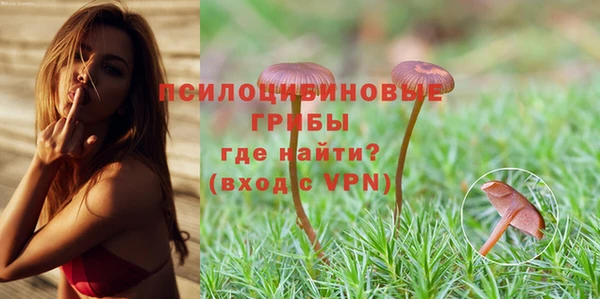 ALPHA PVP Бугульма