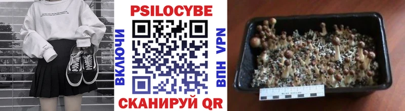 Галлюциногенные грибы Cubensis  Краснообск 